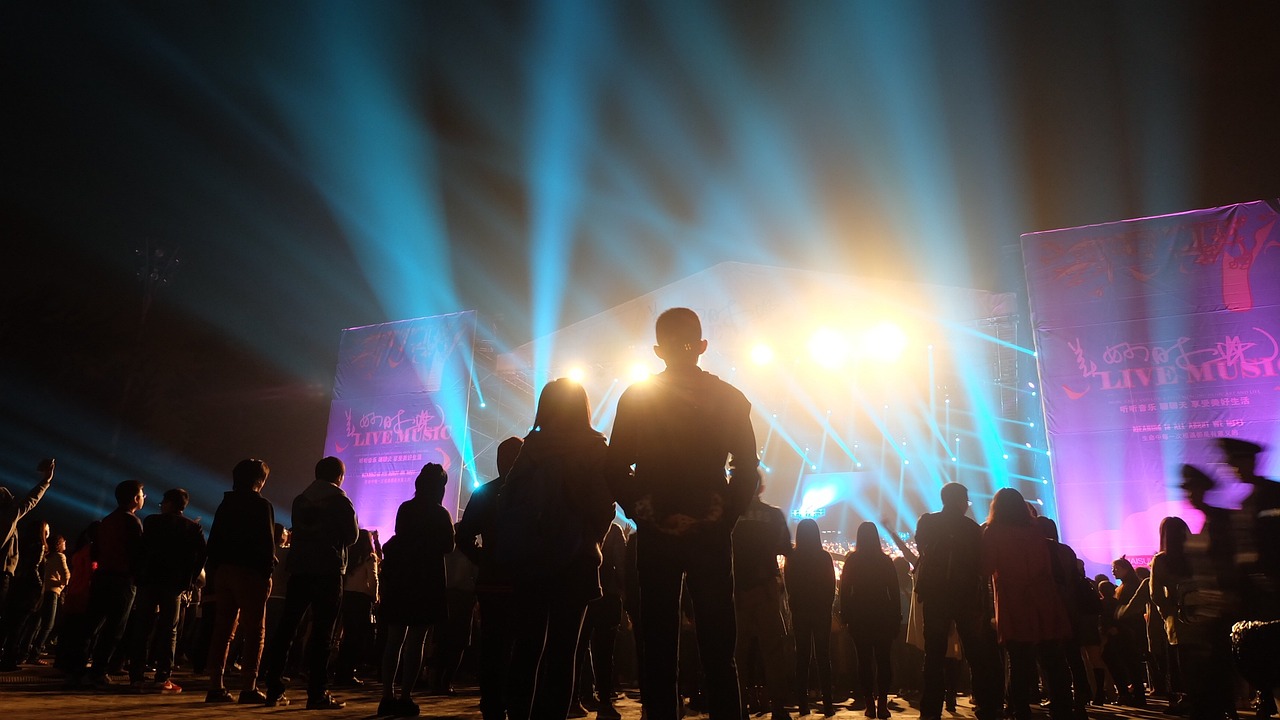 Find Your Concert Buddy